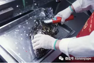 新加坡要开始流行用桶吃鱼了!?太飒了!(免费吃来了~)