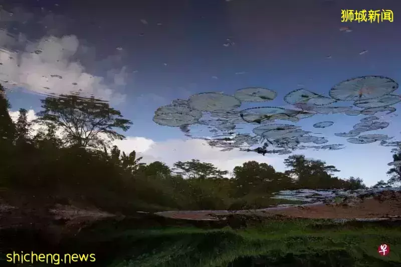 2030年，新加坡人人走路10分钟就能到公园？先去感受一下