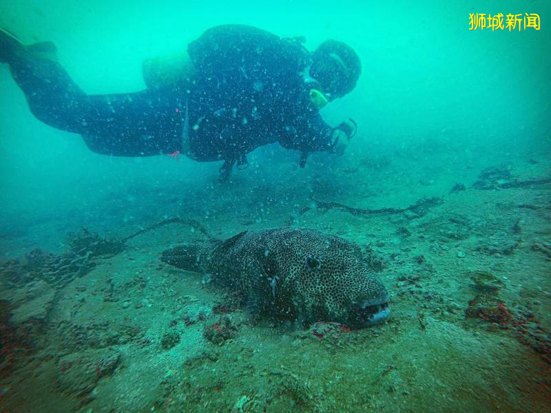 新加坡跳島攻略！周末來一次不需要護照的跳島遊吧