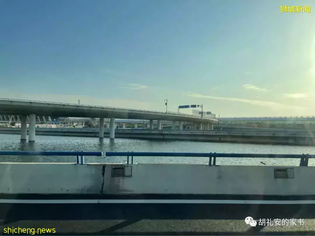 全過程記錄!4月4日從新加坡飛往封城中的上海,入境隔離多圖