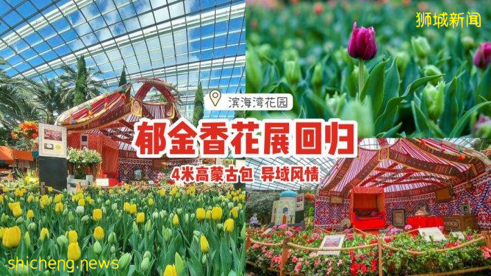 滨海湾花园郁金香花展回归！充满哈萨克异域风情🌷4米高蒙古包+特色建筑装置，一起来打卡📷