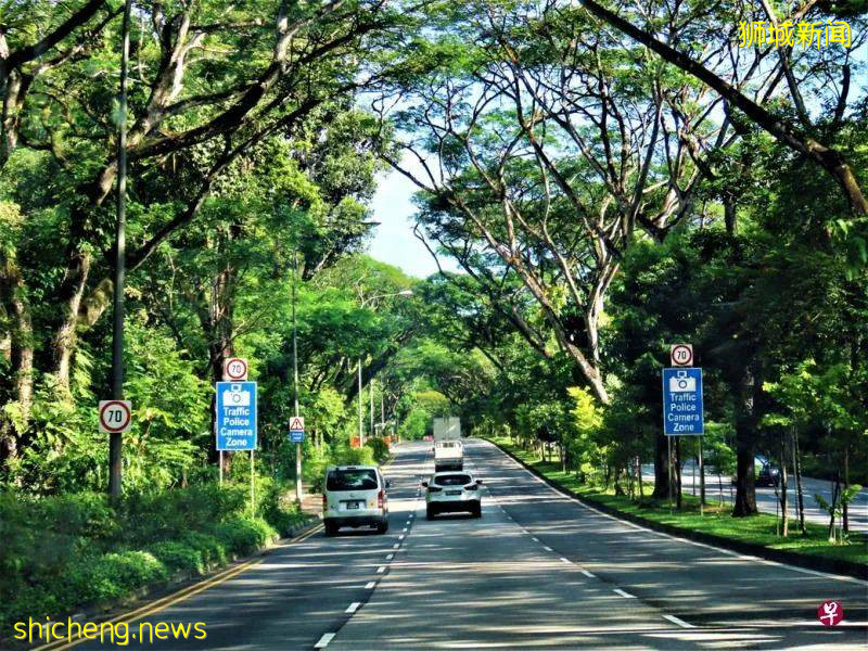 義順組屋新鎮有今天的發展規模，故事得從這個與實裏達河共生並存的春葉自然公園說起