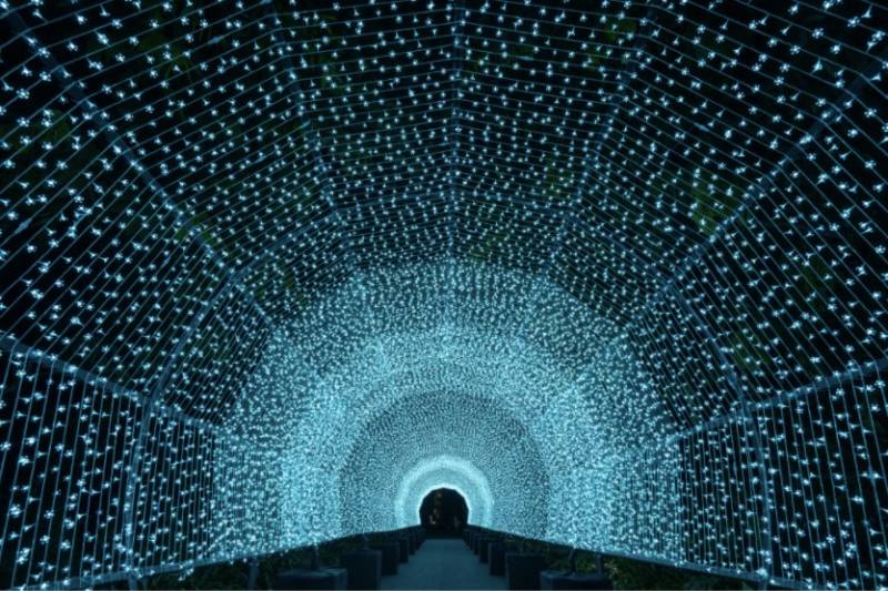 新加坡聖誕月燈飾太美！這12個夢幻地方你打卡了嗎