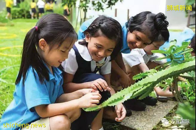 真實的新加坡政府中小學教育！中國家長們有點不敢相信