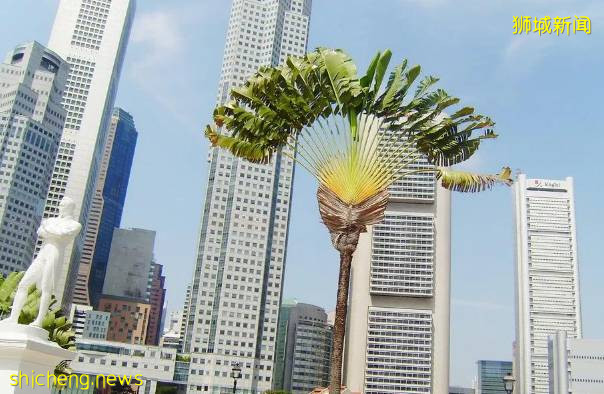 为什么移民新加坡，本文带你全面了解一下