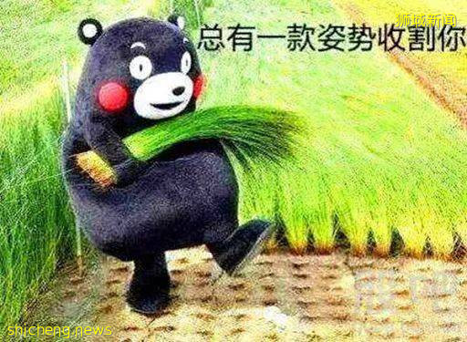 "只要我活著，新加坡就不會有賭場！"!