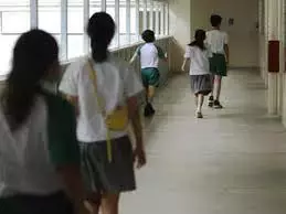 升學率20年新高!原來新加坡只有不到80%的人能上“高中”