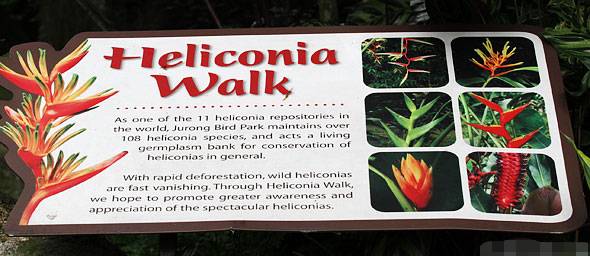 免費送票!帶倆娃嗨翻亞洲最大飛禽園,400多種5000多只鳥,一路驚喜不斷