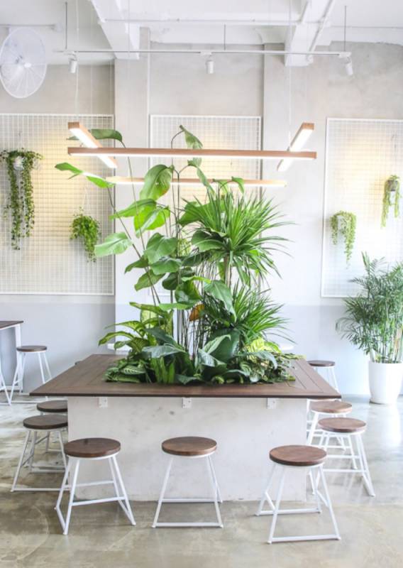 新加坡極簡風格Café盤點，視覺上極度舒適，周末找個地方洗洗眼睛也不錯