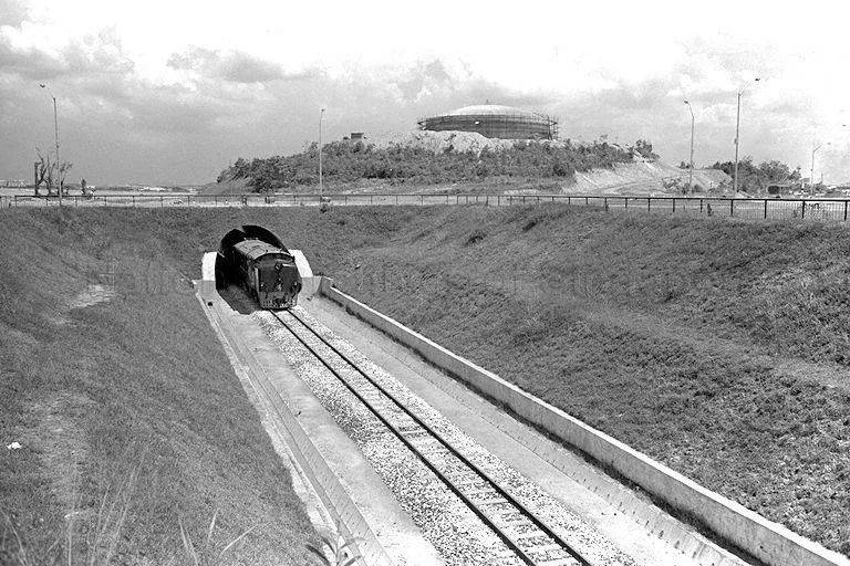 廢棄鐵路、徒步探險、網紅打卡地! 新加坡又一隱秘的角落