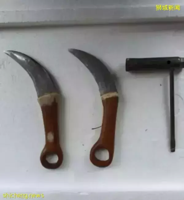 我屮艸芔茻！新加坡男子不戴口罩非法“采药”、更持凶器致执法人员伤残