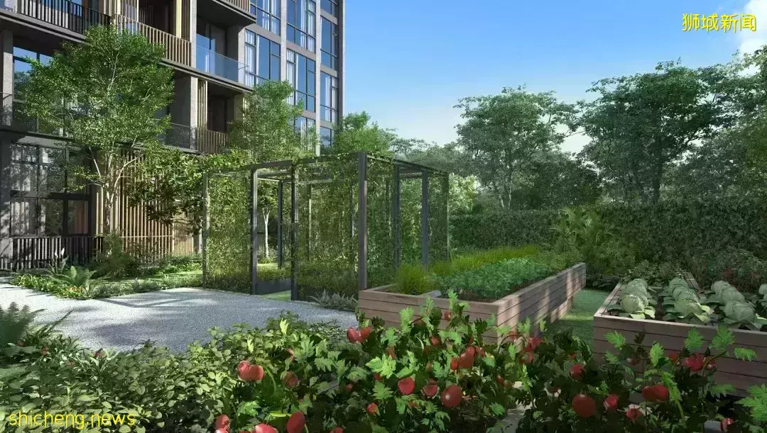 新政！新加坡住組屋的人注意了！明年起要交更多稅