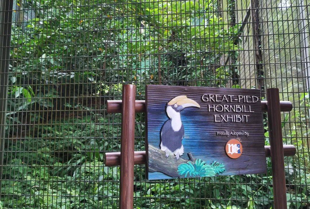 免費送票!帶倆娃嗨翻亞洲最大飛禽園,400多種5000多只鳥,一路驚喜不斷