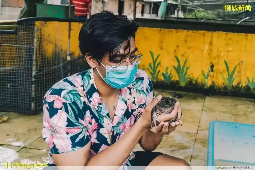 新加坡11條shuttle bus路線!直達動物園、宜家、農場、聖淘沙、醫院