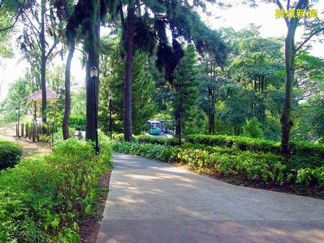 新加坡旅游:花园城市一瞥(图)