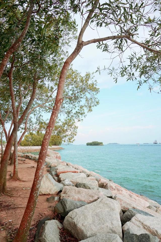 新加坡旅行|6天5晚奇遇狮城的日与夜