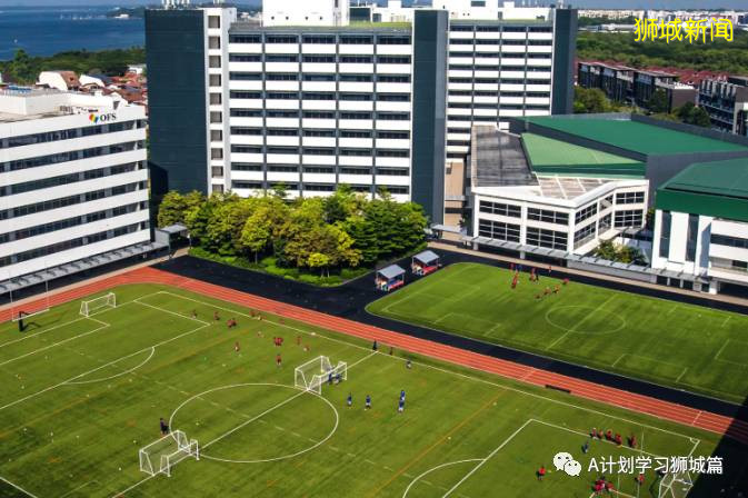 新加坡各国际学校学费