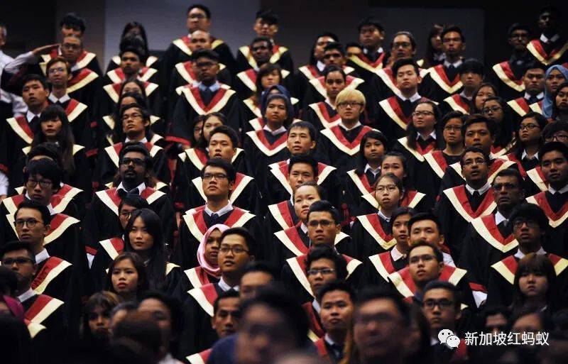 这群外籍学生在新加坡毕业后进退两难：找不到工作也回不了国