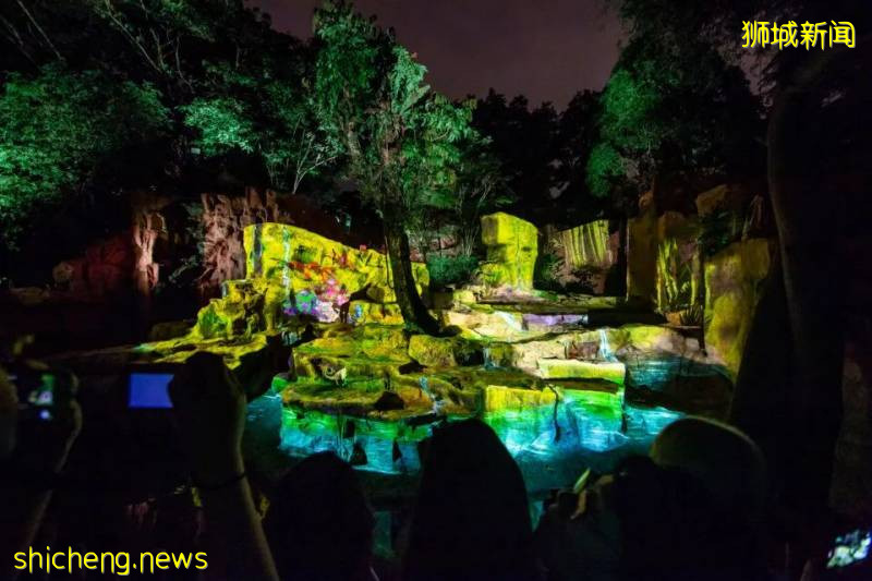 新加坡动物园沉浸式多媒体夜行体验“RAINFOREST LUMINA”｜CAAPA周末分享