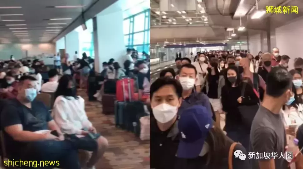 越“躺平”越繁荣?新加坡大解封万人聚会,出入境人潮爆满