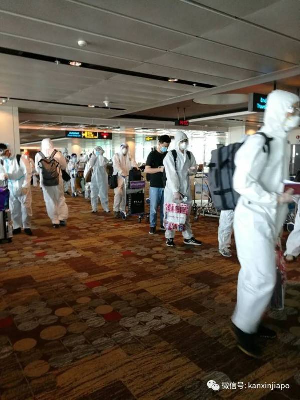 同航班出现感染病例,两老从新加坡回成都一波三折