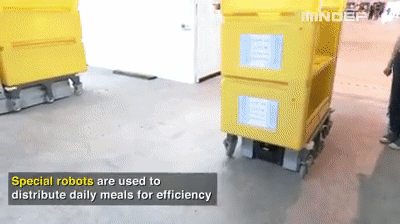 新增X例,累计X例|新加坡2700人方舱紧急使用,中国协助建设3天交付被夸神速