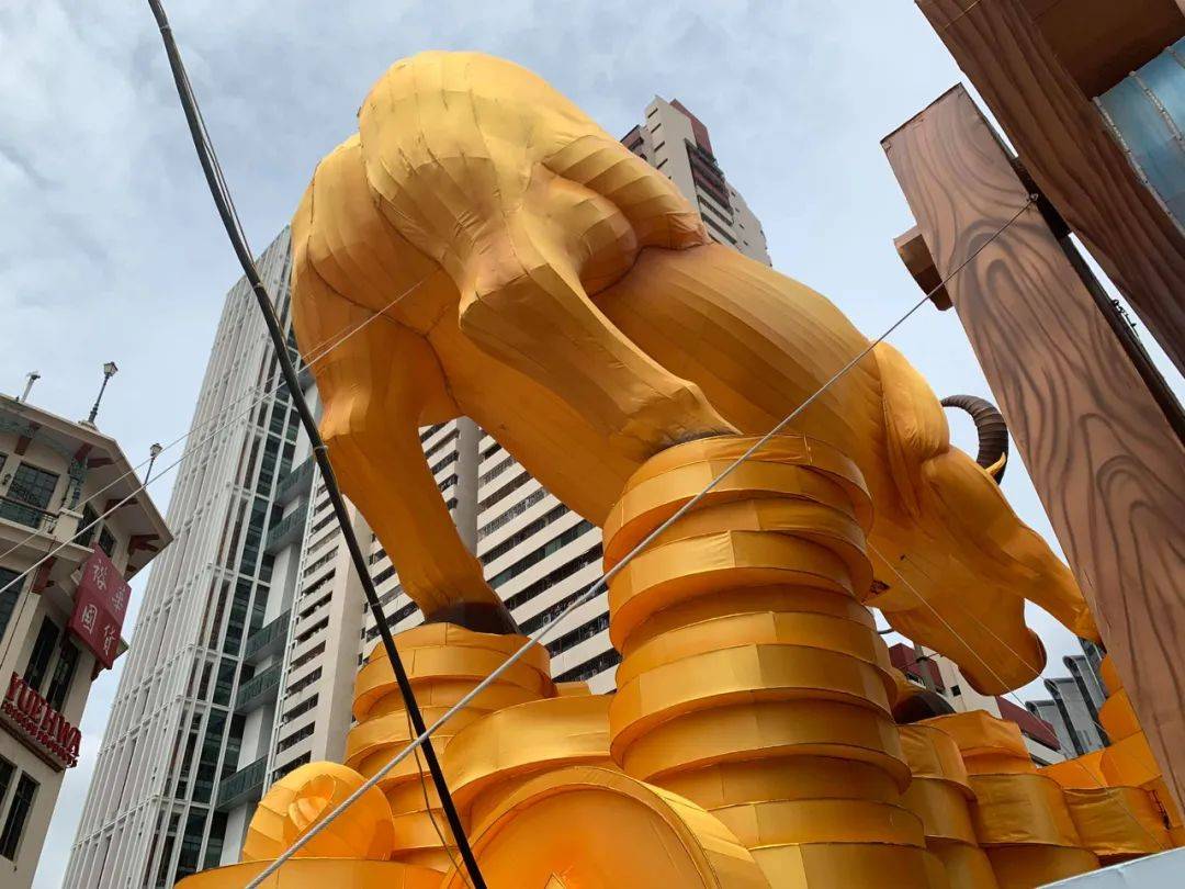 后天!牛车水88个金牛灯点亮迎春节,终于不丑了