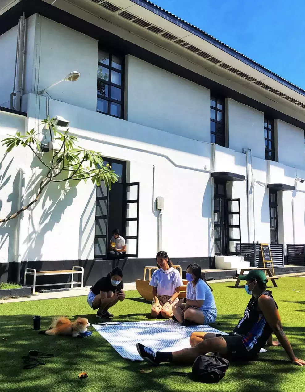 春天来到,找个阳光暖暖的午后一起去喝杯咖啡吧!坡岛这几家氛围感满满的咖啡店你一定不能错过