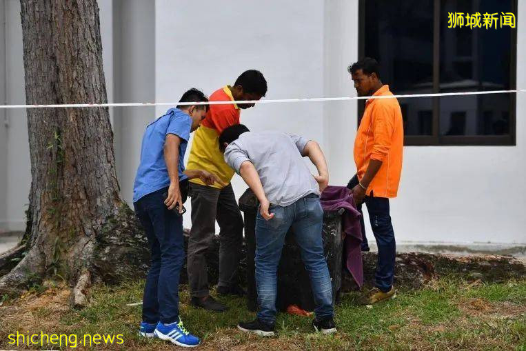 無情！27歲新加坡媽媽棄嬰于垃圾槽，孩子的父親全程沒出現