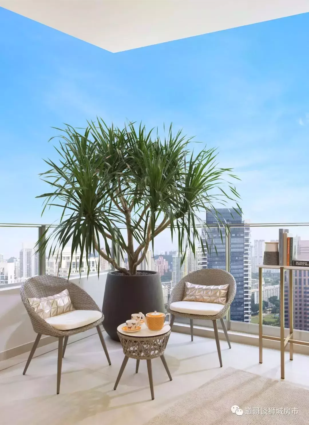 寸土寸金：烏節路 The Avenir