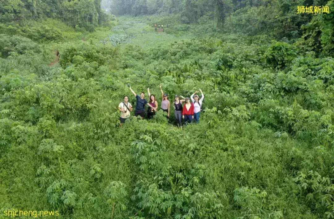 假期出遊 新加坡那些鮮爲人知的“寶藏”勝地