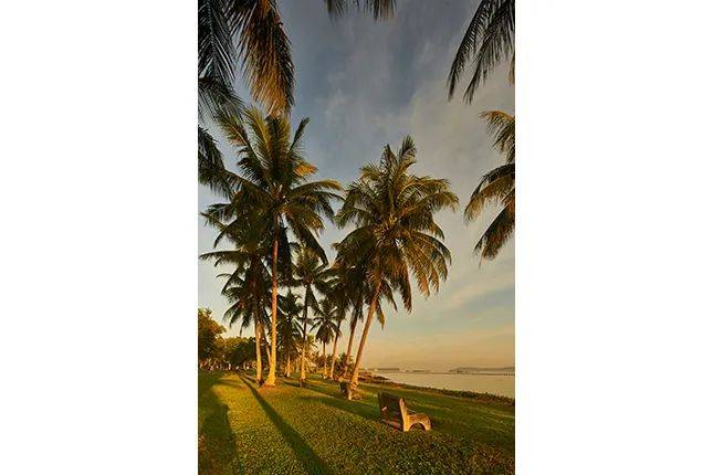 吐血整理！去過這55個小衆打卡景點，才算住在新加坡