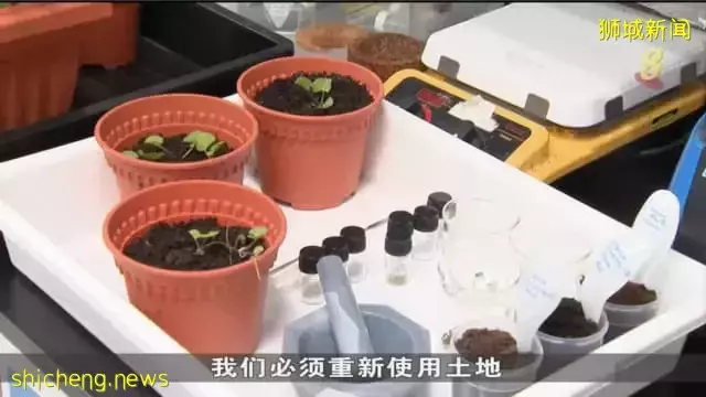 研究：12种热带植物 可吸收泥土有害物质