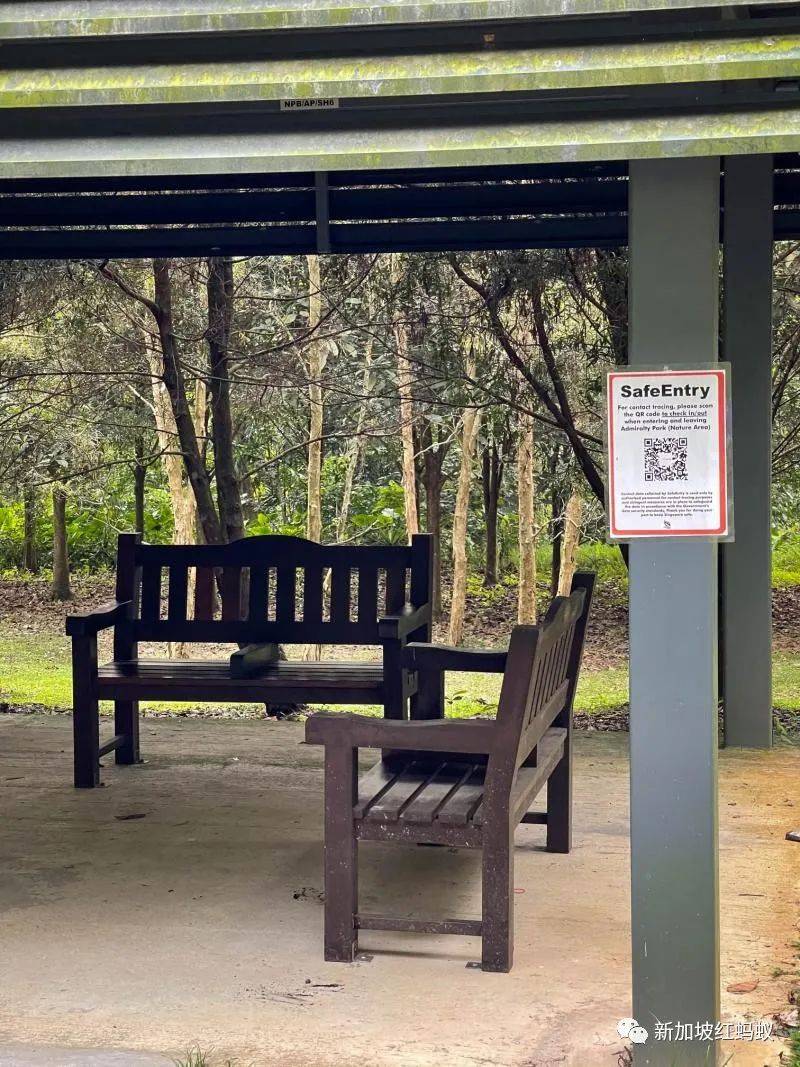 放年假的李顯龍總理不能出國,跑去新加坡這些地方打卡