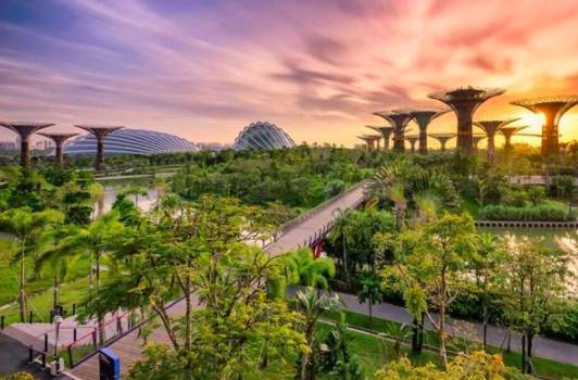 花旗银行将于12月在新加坡开设全球最大财富中心,最新开户全攻略双手奉上