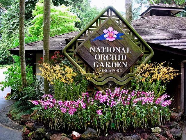 新加坡10个最美公园告诉你,花园城市有多美