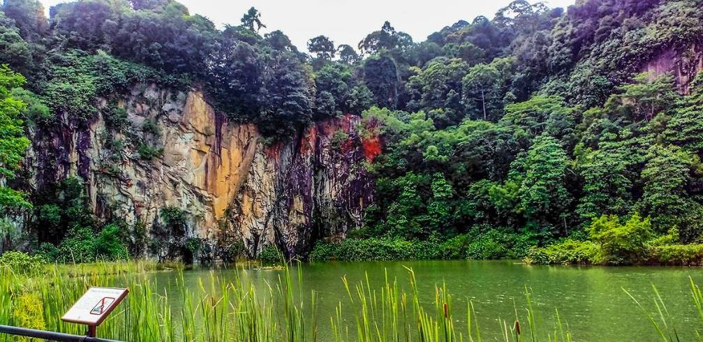 没有奶牛的奶牛公园,藏着100多年历史和700多种甲虫,新加坡宝藏公园推荐