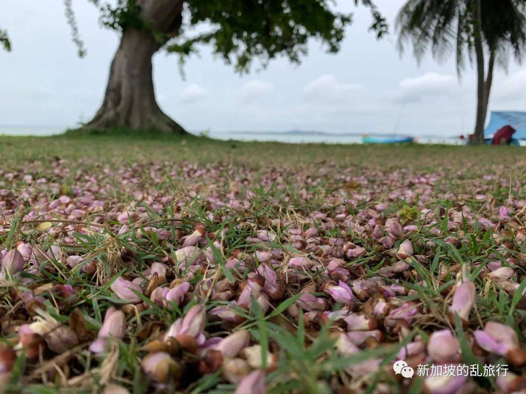 新加坡最宁静的村庄