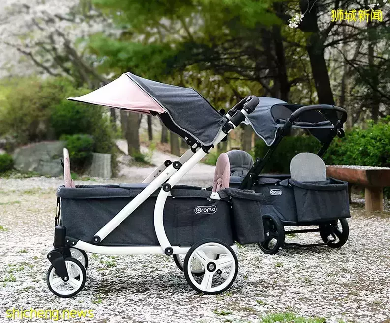 隐身6年、半夜做饭、家有两个老婆......我的新加坡邻居们的神奇故事