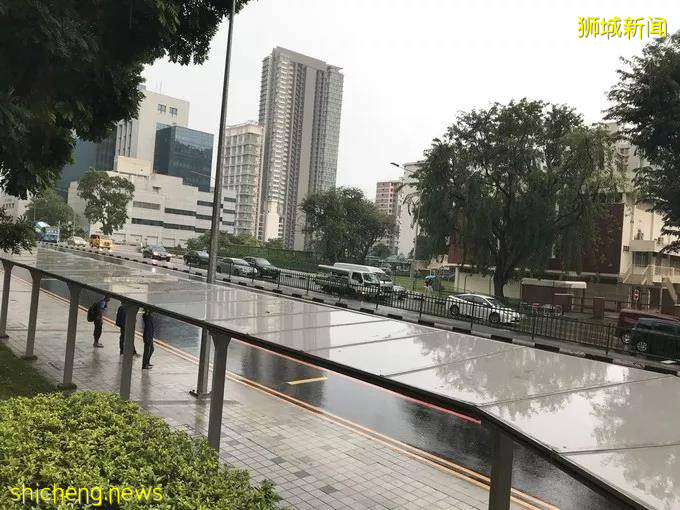 來了就不想走，看看在新加坡生活的“小確幸”!