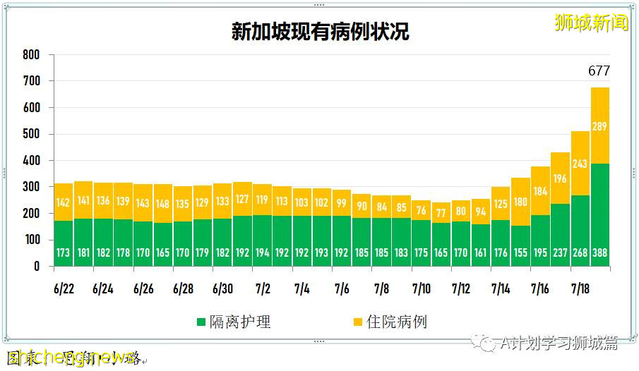 7月20日，新加坡疫情：新增195起，其中本土182起，輸入13起；新加坡重回高警戒解封第二階段，學校不停課