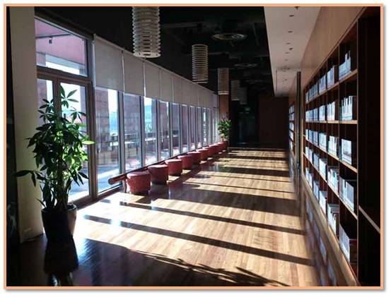 新加坡的公共圖書館