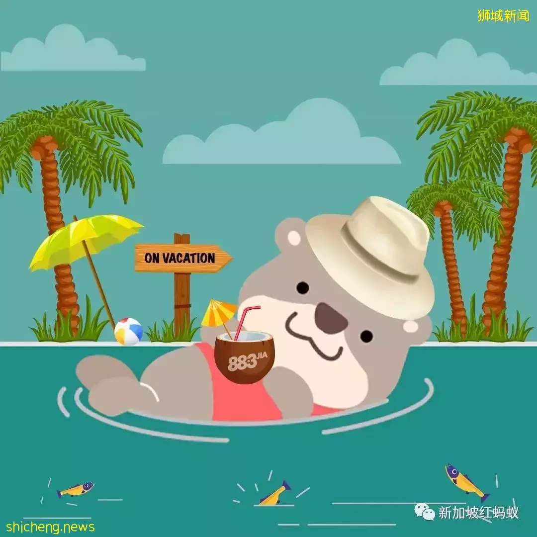 网民不舍“合力追踪”应用的小水獭　当初这只水獭是怎么来的