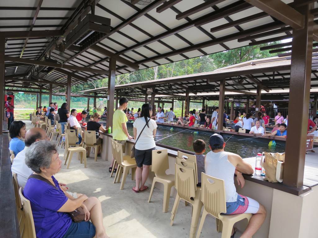 撈魚、釣蝦、蹦床、開挖機、燒烤...這家24小時新加坡農場，太好玩了吧