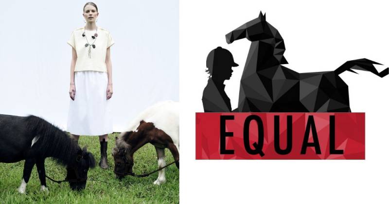 超罕见迷你矮脚马闪现ION!软萌可爱助力公益活动,赶紧来与小马合影打卡吧