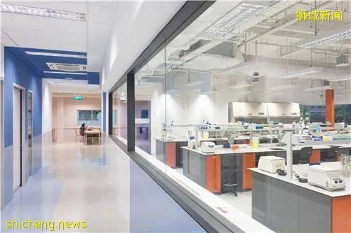 月薪比法學還高！新加坡留學，就讀這一專業了