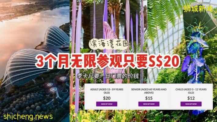滨海湾花园季票只要S$20！无限次进入Flower Dome、Cloud Forest！限时售卖至9月12日