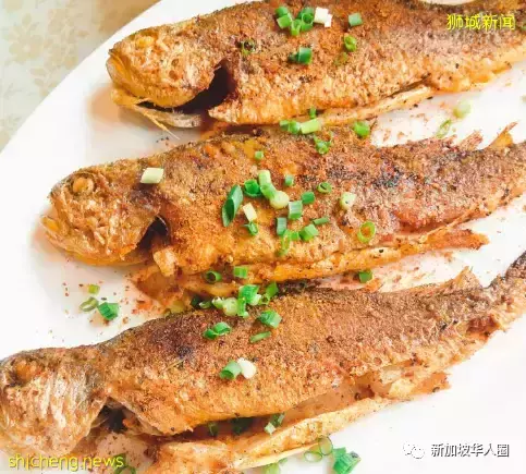 没任何曝光,已被新加坡妹纸挤爆的音乐餐厅,我愿意在这待到凌晨三点