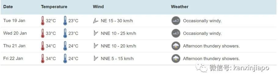 广告布被吹落，海水涌上岸！新加坡强风失速狂刮中