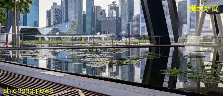 监管下，新加坡成为全球加密货币公司避风港